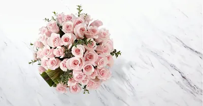 Фотография розы лакшери, восхищающая своей красотой