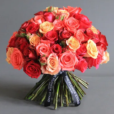 Восхитительная фотография розы лакшери в формате webp