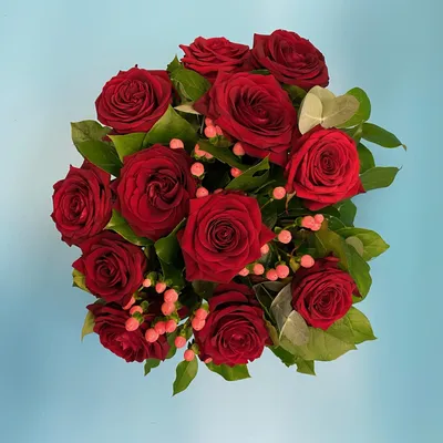 Изображение розы лакшери в формате webp