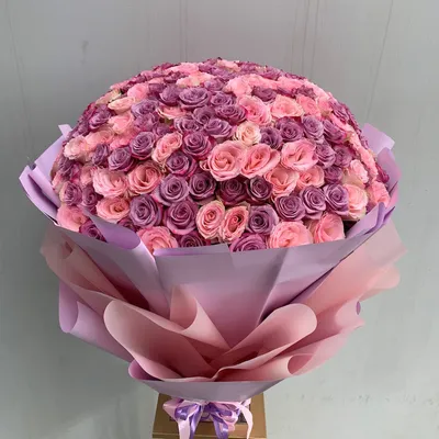 Невероятная красота розы лакшери на фото