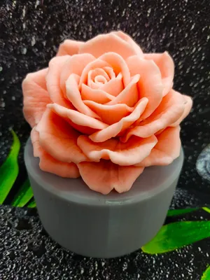 Фото бутона розы лавиния в макро - рельефный снимок