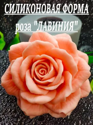 Роза лавиния в глубоком макро - фото, передающее текстуру и оттенки лепестков