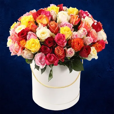 Фото розы для использования на рабочем столе