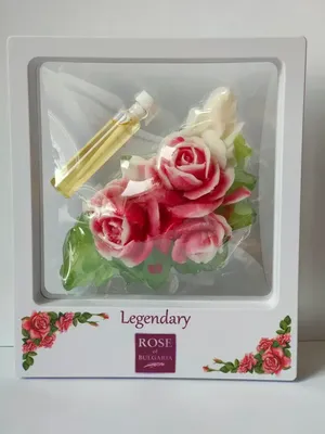Фотография розы с высоким разрешением и качеством