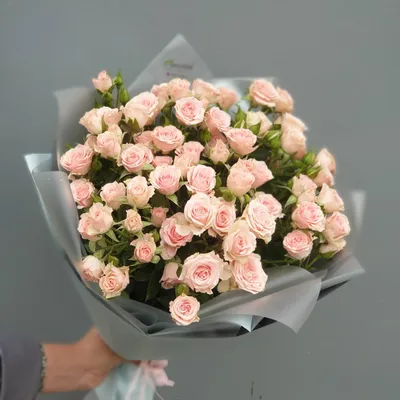 Вебп формат фото розы Лидия: выберите размер