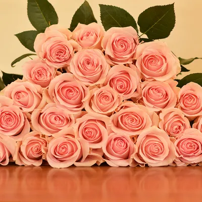 Роза лучано: фотка с богатым цветочным букетом