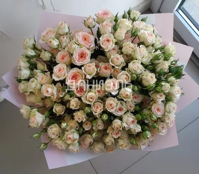 Фото розы марципан в формате jpg