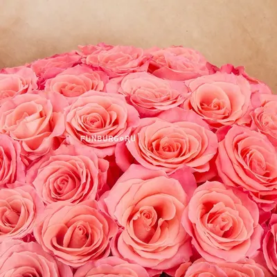 Фото с прекрасными розами марципан