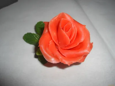 Превосходные изображения розы марципан