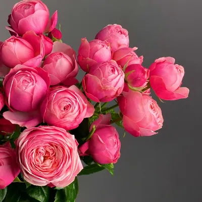 Загадочная картина с изображением розы марципан