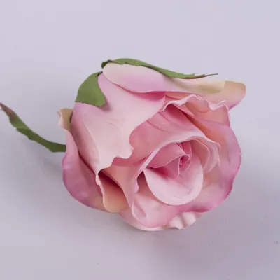Изображение розы мерседес с возможностью выбора формата скачивания