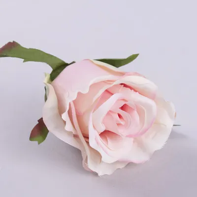 Изображение розы мерседес для оформления веб-страницы