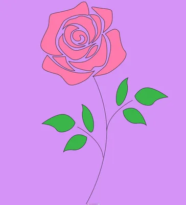Рисунок Роза карандашом в jpg формате