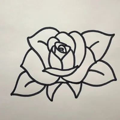 Изображение розы, нарисованной карандашом, в jpg формате