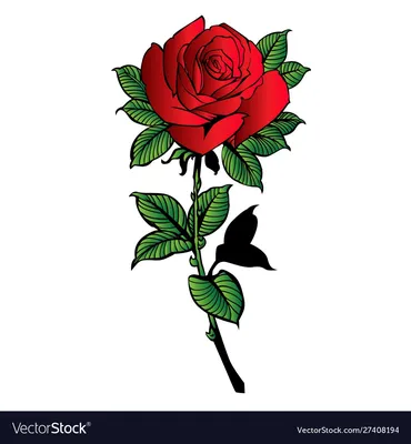 Фотография розы, выполненной карандашом, в png формате