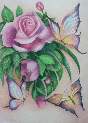 Изображение розы, нарисованной карандашом, в webp формате
