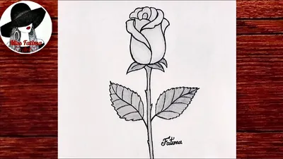 Картина Роза карандашом в формате webp для скачивания
