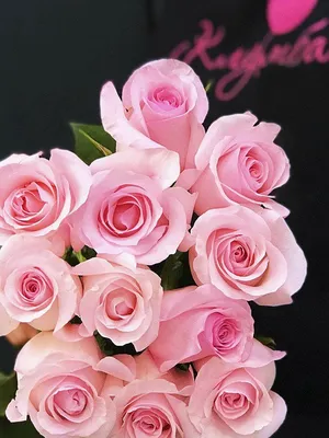 Уникальное изображение розы Нена с возможностью выбора формата