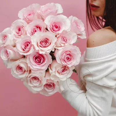 Уникальное фото розы Нена для вдохновения и дизайна