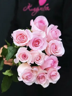 Уникальное фото розы Нена для скачивания