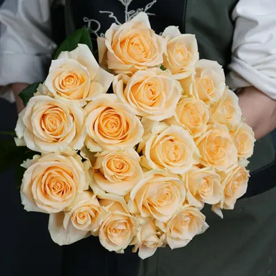 Уникальное изображение розы пич аваланч