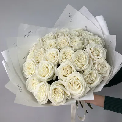 Фотография розы плайя бланка: выберите желаемый ракурс
