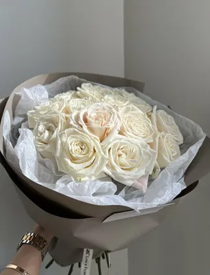 Фотка розы плайя бланка в глубоком фокусе