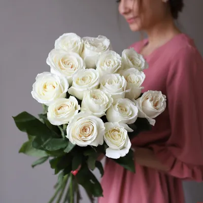 Фотография розы плайя бланка в высоком разрешении