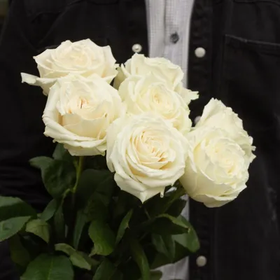 Роза плайя бланка: яркое изображение для фоторамки