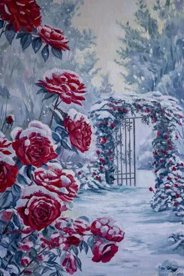 Фотка розы, окруженной снежными сопками