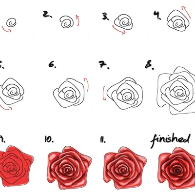Коллекция красивых роз на картине – фото, изображение, фотография