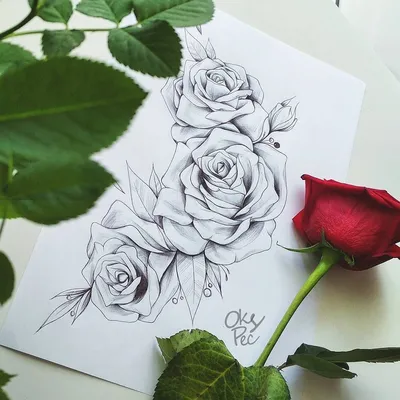 Фотографии роз в разнообразных рисунках – скачайте изображение в нужном формате