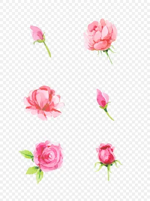 Изображения роз в уникальных рисунках – фото с выбором размера и формата