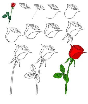 Красивые розы в картине – фотка в различных размерах и форматах