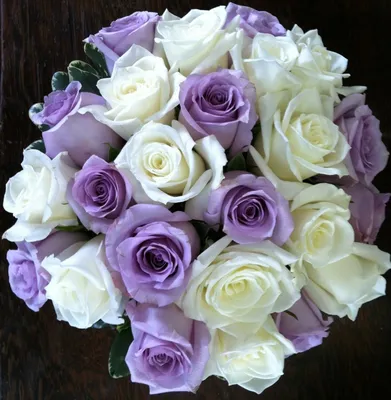 Изображение красивой розы Саманта