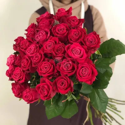 Изображение красивой розы Шангрила для скачивания в png формате
