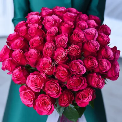 Удивительное фото розы Шангрила с использованием технологии webp