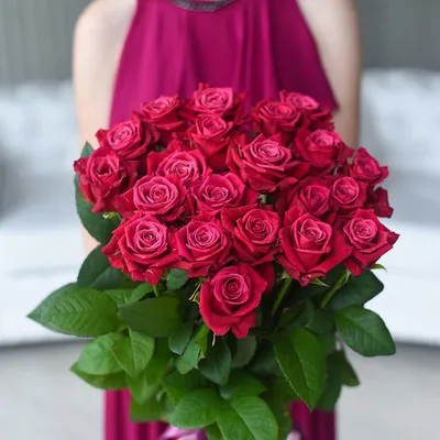 Великолепная роза Шангрила: фотография с насыщенными цветами