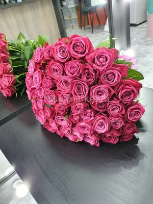 Изображение розы Шангрила в формате webp: легкость и качество