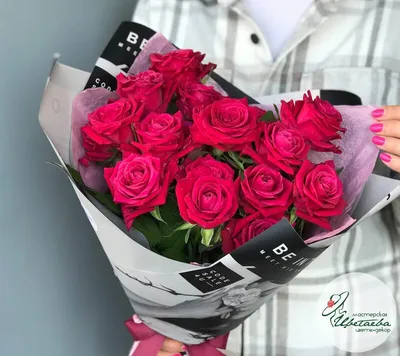 Фото красивой розы Шангрила в высоком разрешении