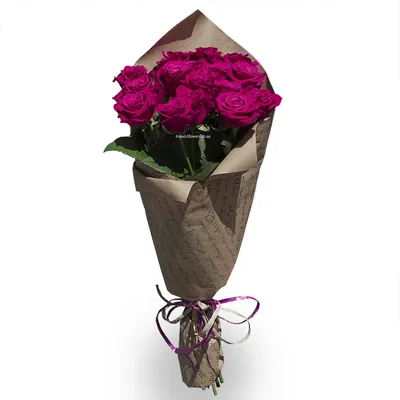 Фото розы Шангрила – живописная картина в цвете и форме