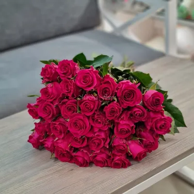 Уникальное изображение розы Шангрила в формате webp