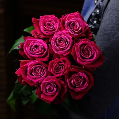 Изысканная роза Шангрила: фото с яркими пятнами и крупными бутоны