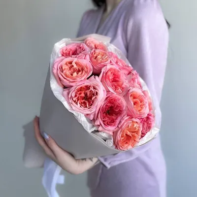 Роза шаровидная в высоком разрешении, формат скачивания - webp