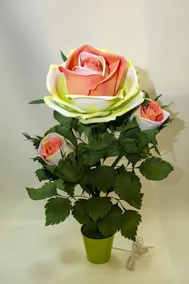 Фото розы светильника: маленький размер, png