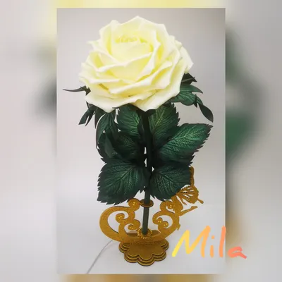 Уникальное фото розы-светильника в разных размерах и форматах для вашего выбора