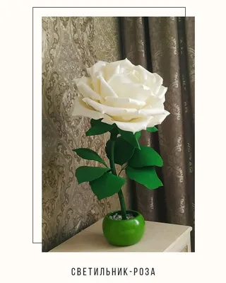 Изображение розы светильника: выберите размер и формат