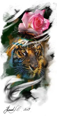 Роза тигр  фото