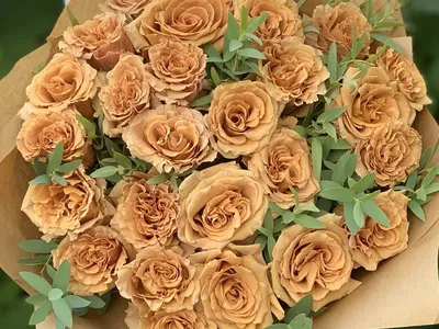 Фото розы тоффи с яркими цветами