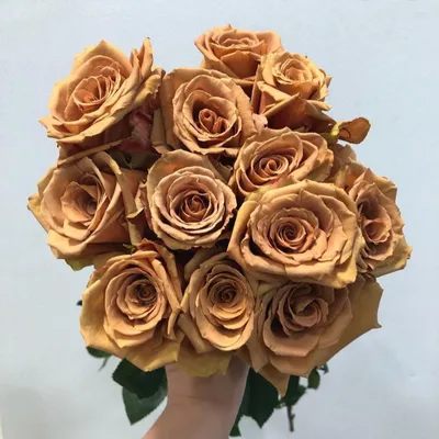 Фото розы тоффи на фоне россыпи цветов